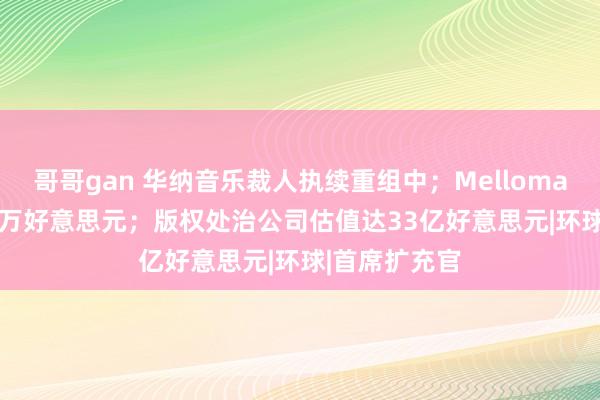 哥哥gan 华纳音乐裁人执续重组中；Mellomanic融资600万好意思元；版权处治公司估值达33亿好意思元|环球|首席扩充官