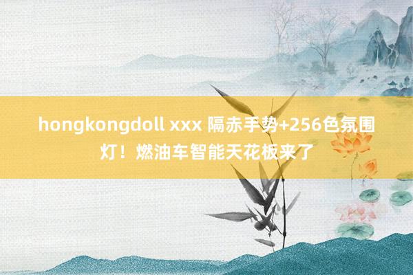 hongkongdoll xxx 隔赤手势+256色氛围灯！燃油车智能天花板来了