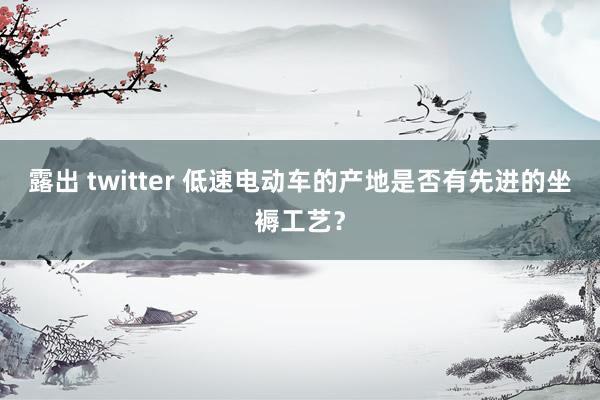 露出 twitter 低速电动车的产地是否有先进的坐褥工艺？