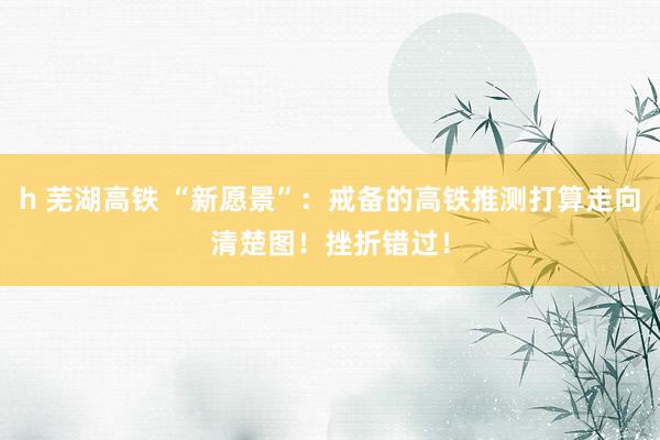 h 芜湖高铁 “新愿景”：戒备的高铁推测打算走向清楚图！挫折错过！