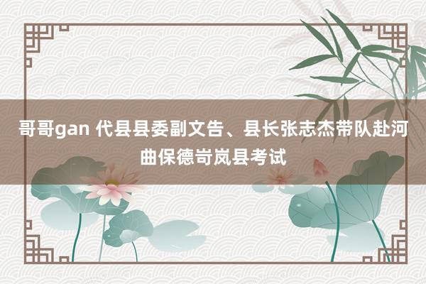 哥哥gan 代县县委副文告、县长张志杰带队赴河曲保德岢岚县考试
