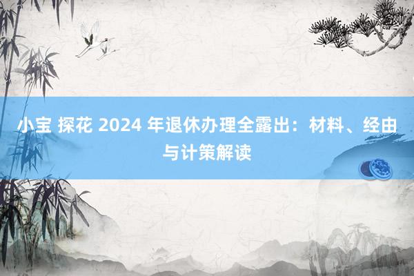 小宝 探花 2024 年退休办理全露出：材料、经由与计策解读