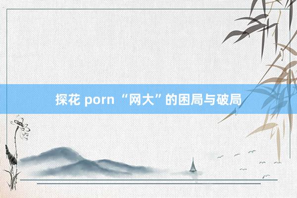 探花 porn “网大”的困局与破局