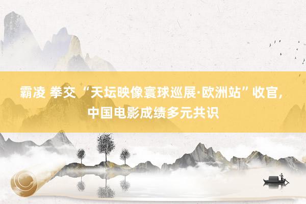 霸凌 拳交 “天坛映像寰球巡展·欧洲站”收官, 中国电影成绩多元共识