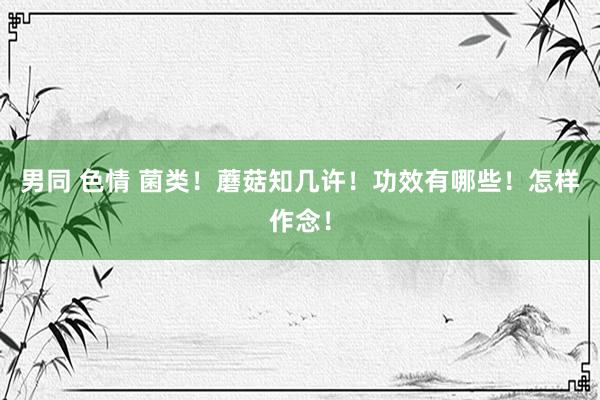 男同 色情 菌类！蘑菇知几许！功效有哪些！怎样作念！